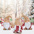 Hodao Christmas Gingerbread Gnomes Trio Decorations for Home