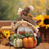 Hodao Fall Thanksgiving Pumpkin Gnomes Decorations Handmade Swedish Tomte Gnomes Elf for Fall Thanksgiving Decor Gift - Fall Thanksgiving Party Home Gnomes Decor - Thanksgiving Autumn Gift