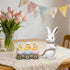 Hodao Easter Bunny Pulling Cart Figurine – Rabbit with Chicks in Painted Egg Wagon, Spring Tabletop Decor for Mantel & Tiered Tray, Giftable with “Happy Easter” Box Packaging