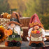 Hodao Thanksgiving Pumpkin Decorations Gnome Elf Collectibles Home Decor Thanksgiving Pumpkin Gnomes Charming Fall Collectibles for Home Decor and Unique Gifts(2 PCS)