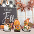 Hodao 3pcs Fall Thanksgiving Pumpkin Gnomes Decorations