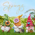 Hodao Spring Summer Gnome Decorations